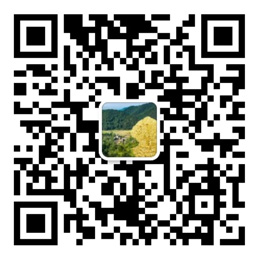 365速发网址